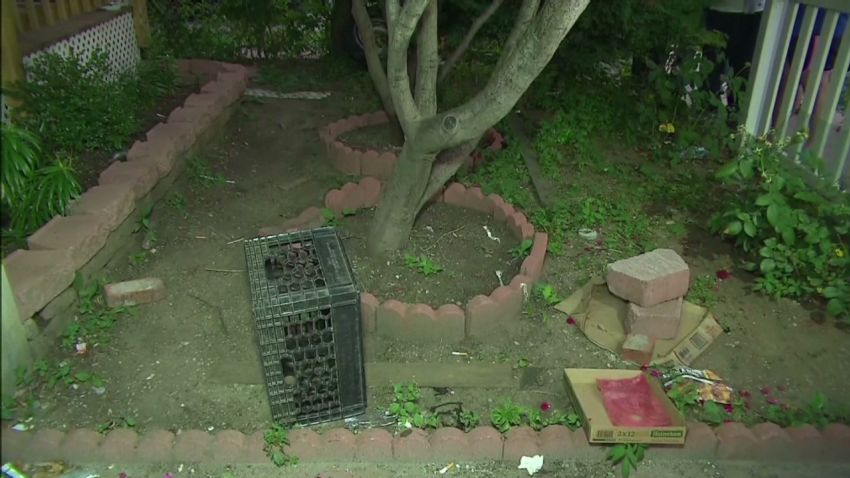dnt ny man finds arm in yard_00002624.jpg