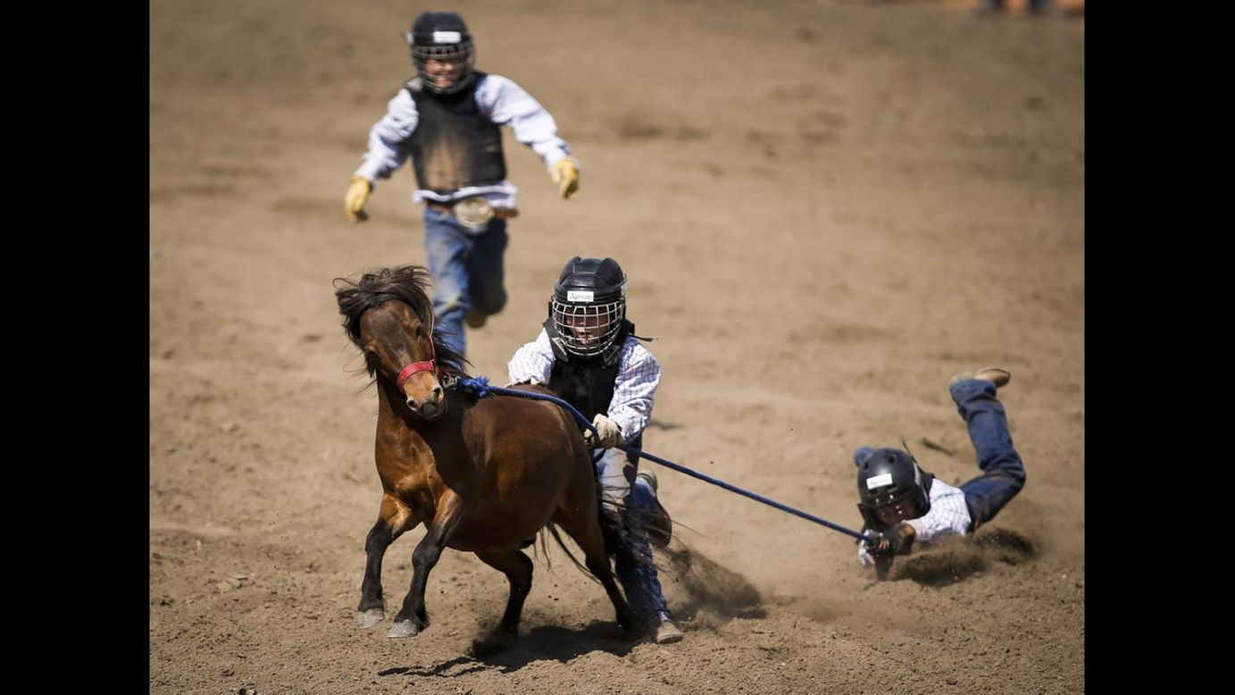 A team tries to catch and ride a pony during the Calgary Stampede in Calgary, Alberta, on Sunday, July 6.