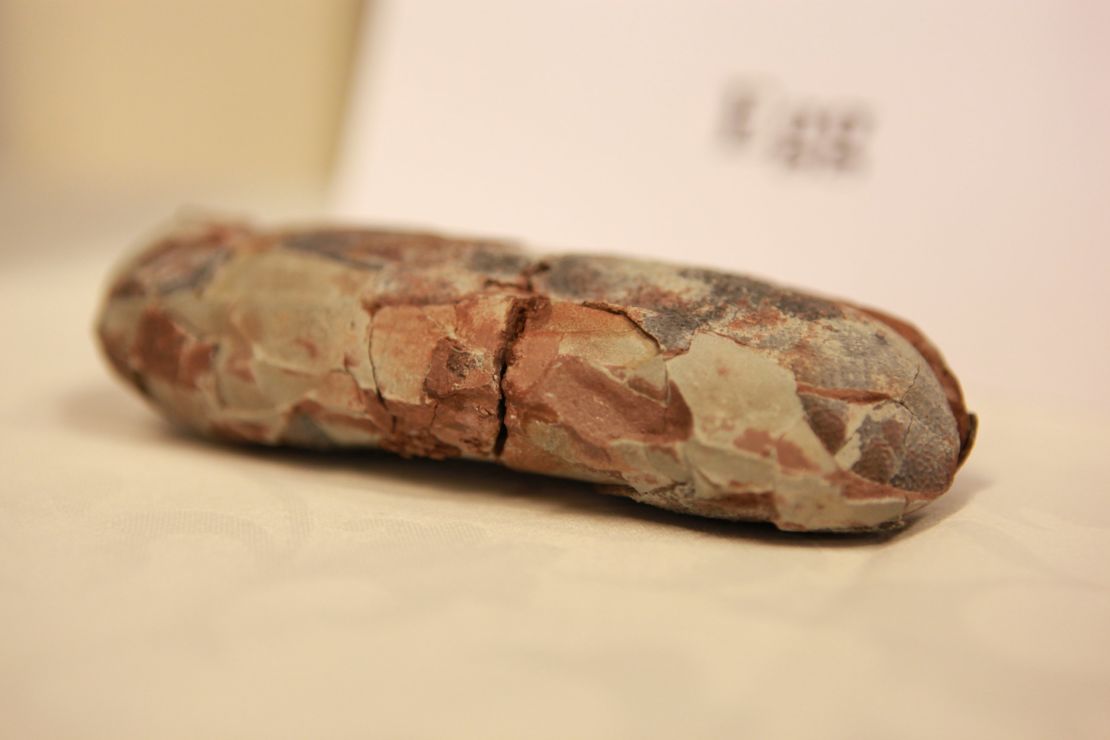 A fossilized egg was one of the items returned. 