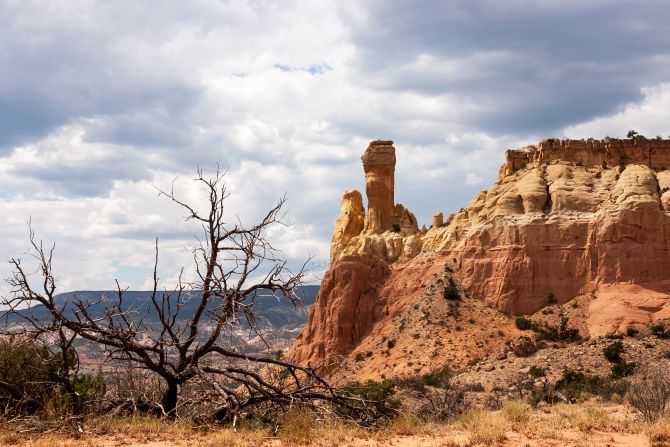 The Museum of Paleontology at New Mexico's Ghost Ranch Park features a Vancleavea, an underwater reptile, and a coelophysis, a two-legged, skinny carnivore.