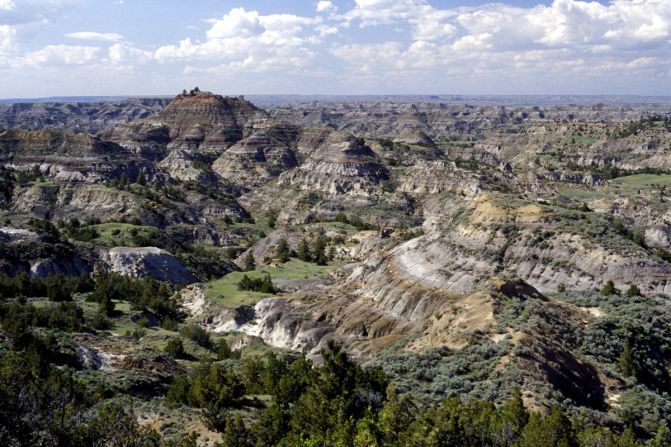 Discovered in 1902 by Barnum Brown, the Hell Creek fossil formation in Montana is expansive. The protected land spans four states and houses well-preserved dinosaurs including hadrosaurs, theropods and ceratopsians. 