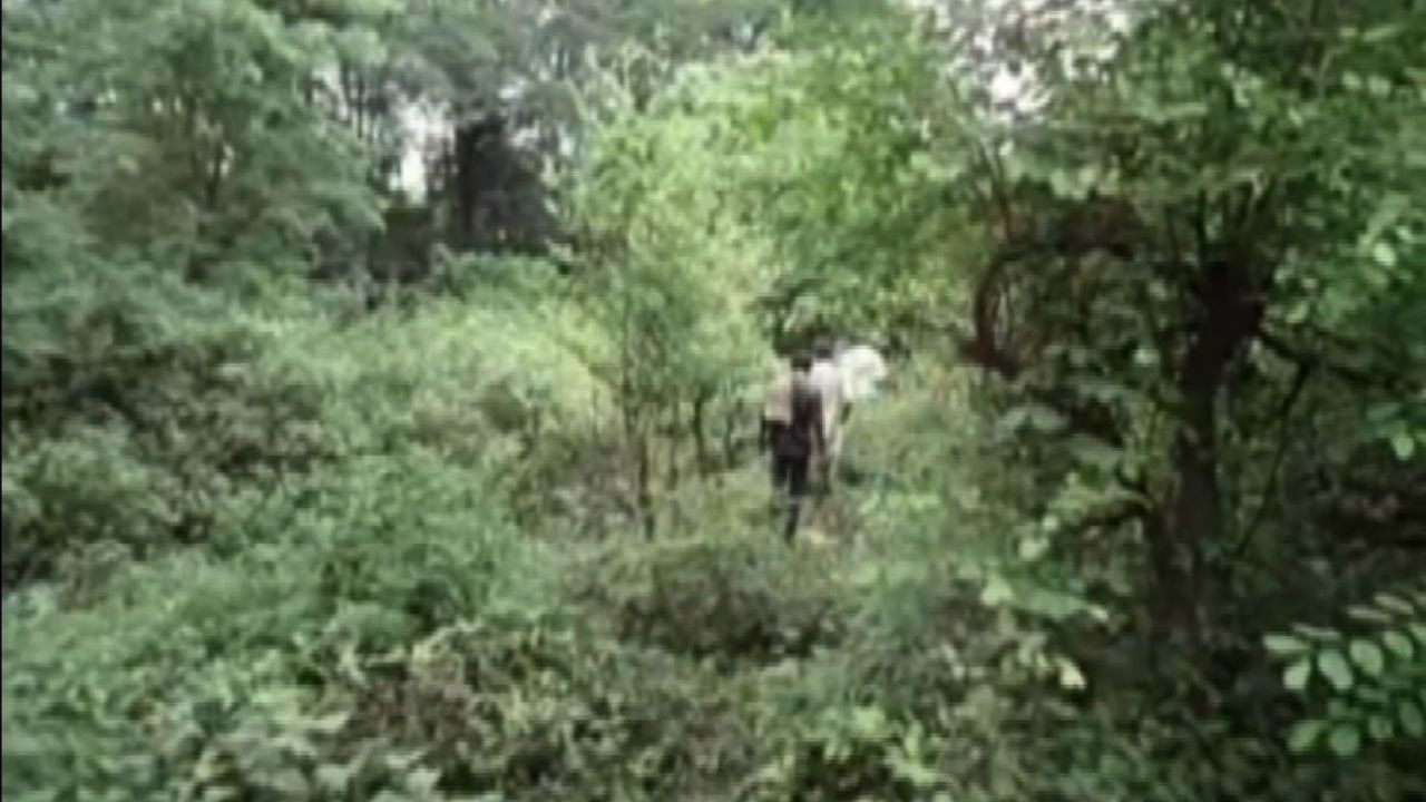 amateur teen forest nude 