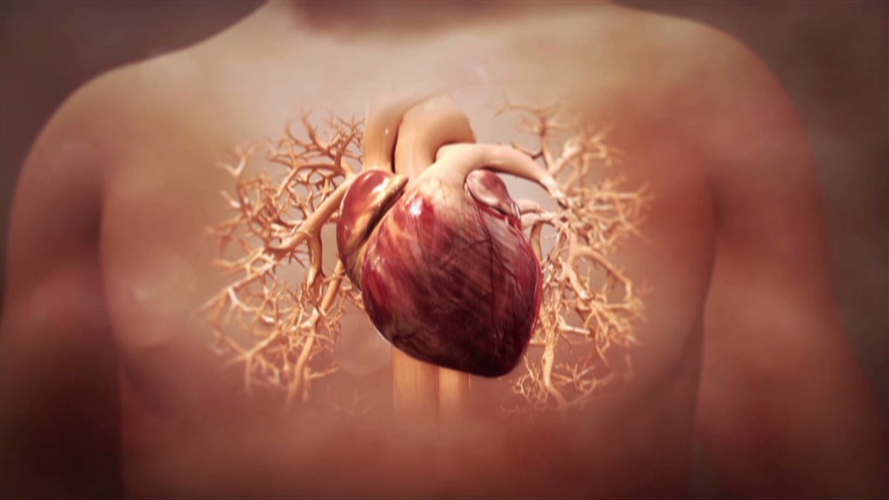 Can heart attack damage be reversed? • MyHeart