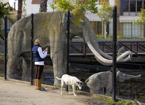 Millions visit the La Brea Tar Pits each year in Los Angeles, where fossil replicas and excavation classes give visitors a hands-on experience.