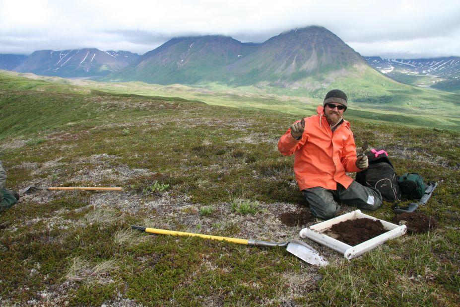 Denali National Park in Alaska is the site of a recent find: tracks from hadrosaurs, plant-eating dinosaurs that roamed nearly 70 million years ago.
