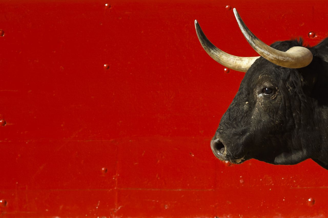 A bull is seen in the arena during a bullfight on July 9.