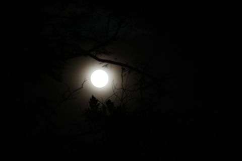 The supermoon made an exciting appearance in other parts of the world, too. <a href="http://ireport.cnn.com/docs/DOC-1152150">Marlo Cueto</a> ventured to a park in Makati City, Philippines, so that he could find some sky that wasn't saturated by light pollution. Using a DSLR camera, he photographed the moon through the thick clouds floating above.