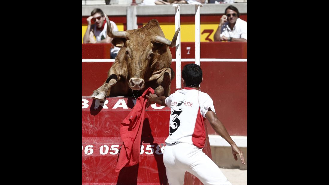 A young bull tries to jump over an obstacle during an exhibition of riding and acrobatic skills on July 13. 