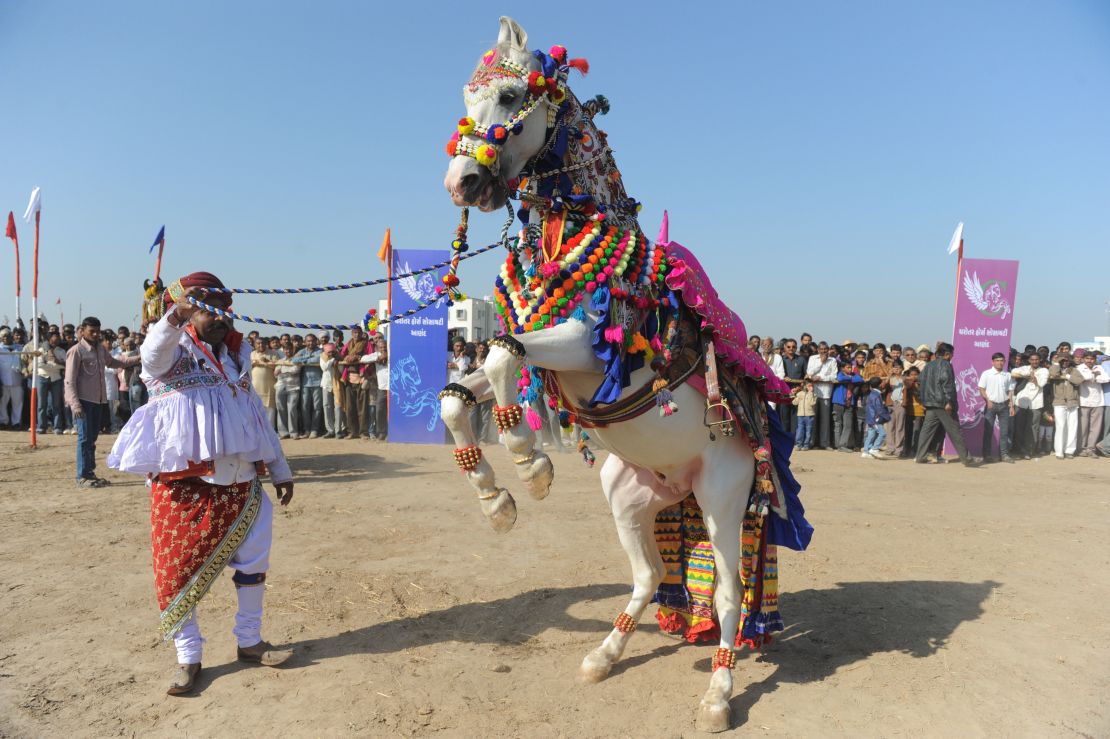 A decorated horse and his master participate in a competition in rural Dholera on Jaunary 8, 2012. About 40,000 people live in the area where the government hopes to build a new city.