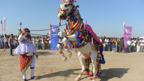A decorated horse and his master participate in a competition in rural Dholera on Jaunary 8, 2012. About 40,000 people live in the area where the government hopes to build a new city.