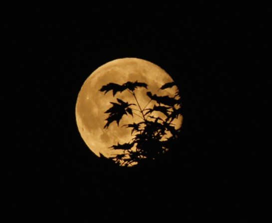 The supermoon this weekend was the best one iReporter <a href="index.php?page=&url=http%3A%2F%2Fireport.cnn.com%2Fdocs%2FDOC-1152414">Vijay Pandrangi</a> has ever seen. The software engineer from Bothell, Washington, says he can't wait to see the supermoon again on August 10.