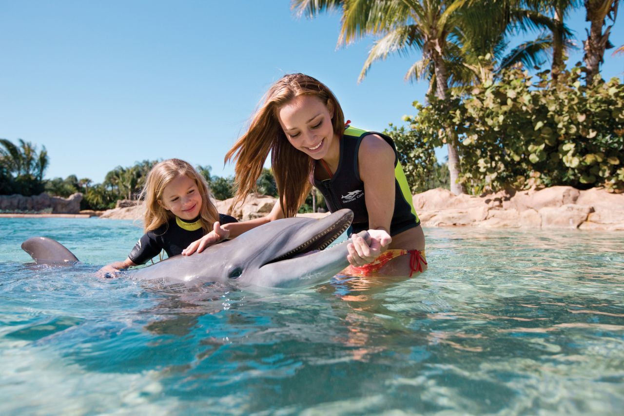 Visitors to Orlando, Florida's Discovery Cove, named world's best amusement park by TripAdvisor, encounter dolphins, snorkel with tropical fish and get soaked on an array of rides.