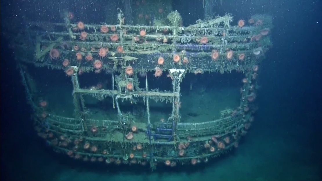 Anemones cling to the side of the SS Robert E. Lee.