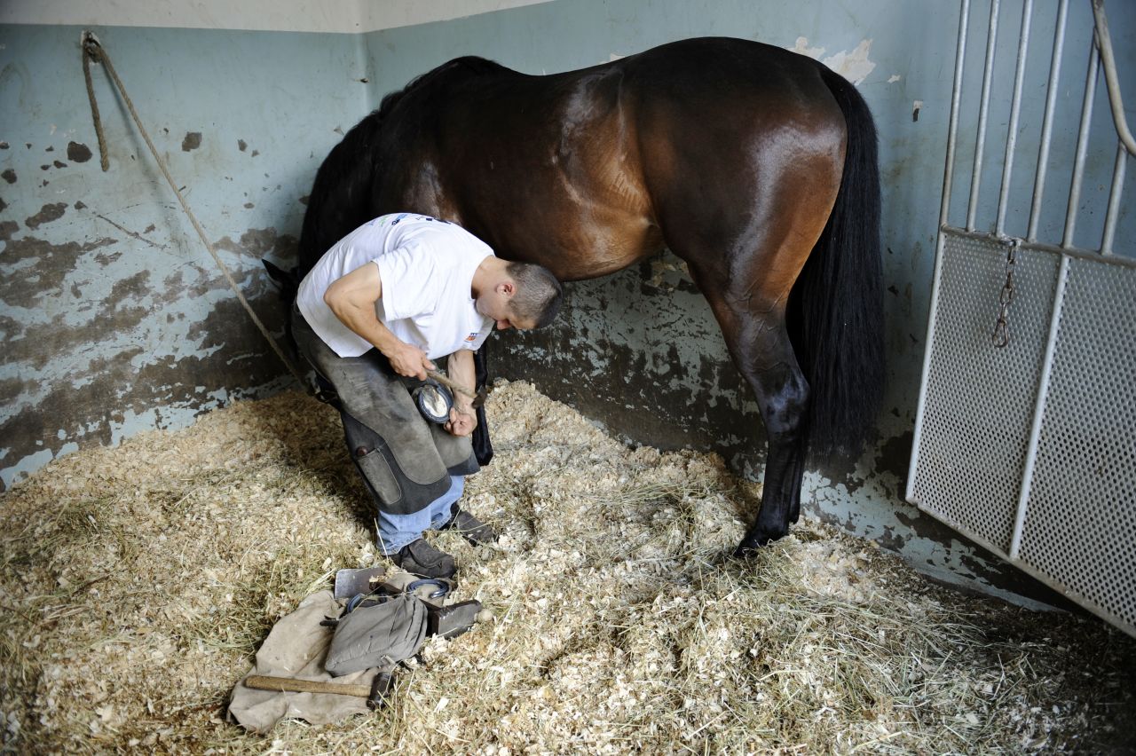 Farriers must work closely around and underneath horses -- they risk being kicked and seriously injured if caught in the wrong place when an animal is spooked.