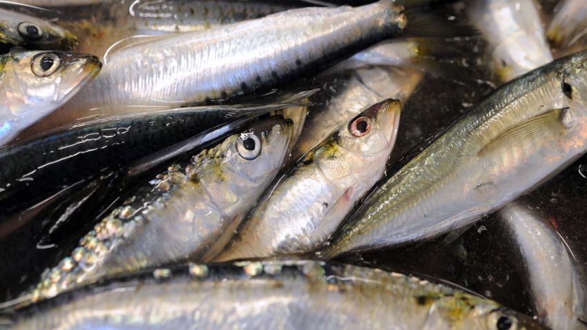 Opinion: Eat this fish and do the planet a favor | CNN