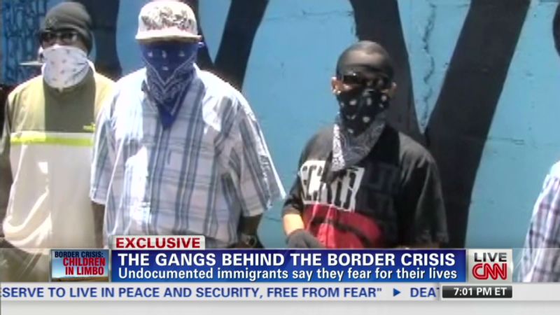 From Gangs To Nations Exploring Territorialitys Dark Side - 8bpnuej