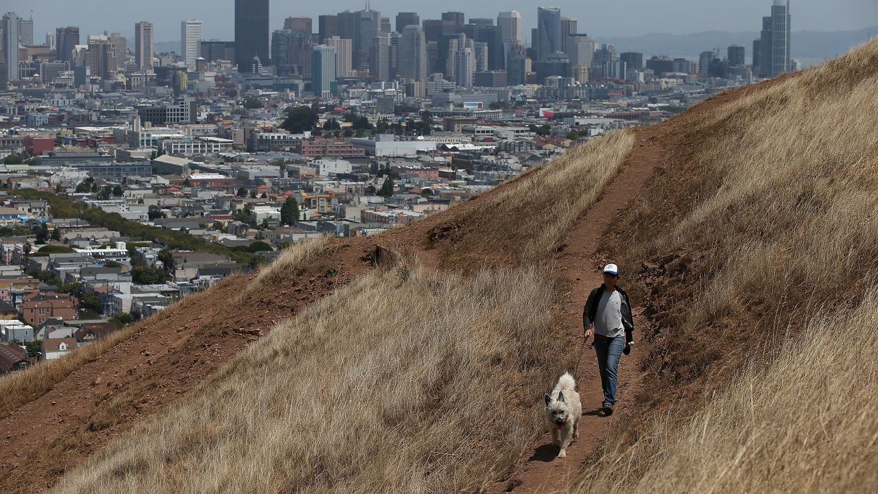 A woman walks her dog in San Francisco in July 2014.