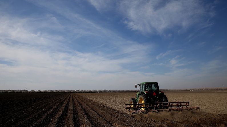 A tractor plows a field in Firebaugh, California, in February 2014. Almond farmer Barry Baker had 1,000 acres -- 20% -- of his almond trees removed because he didn't have access to enough water to keep them alive.