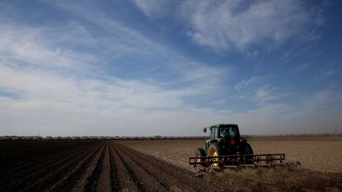 A tractor plows a field in Firebaugh, California, in February 2014. Almond farmer Barry Baker had 1,000 acres -- 20% -- of his almond trees removed because he didn't have access to enough water to keep them alive.