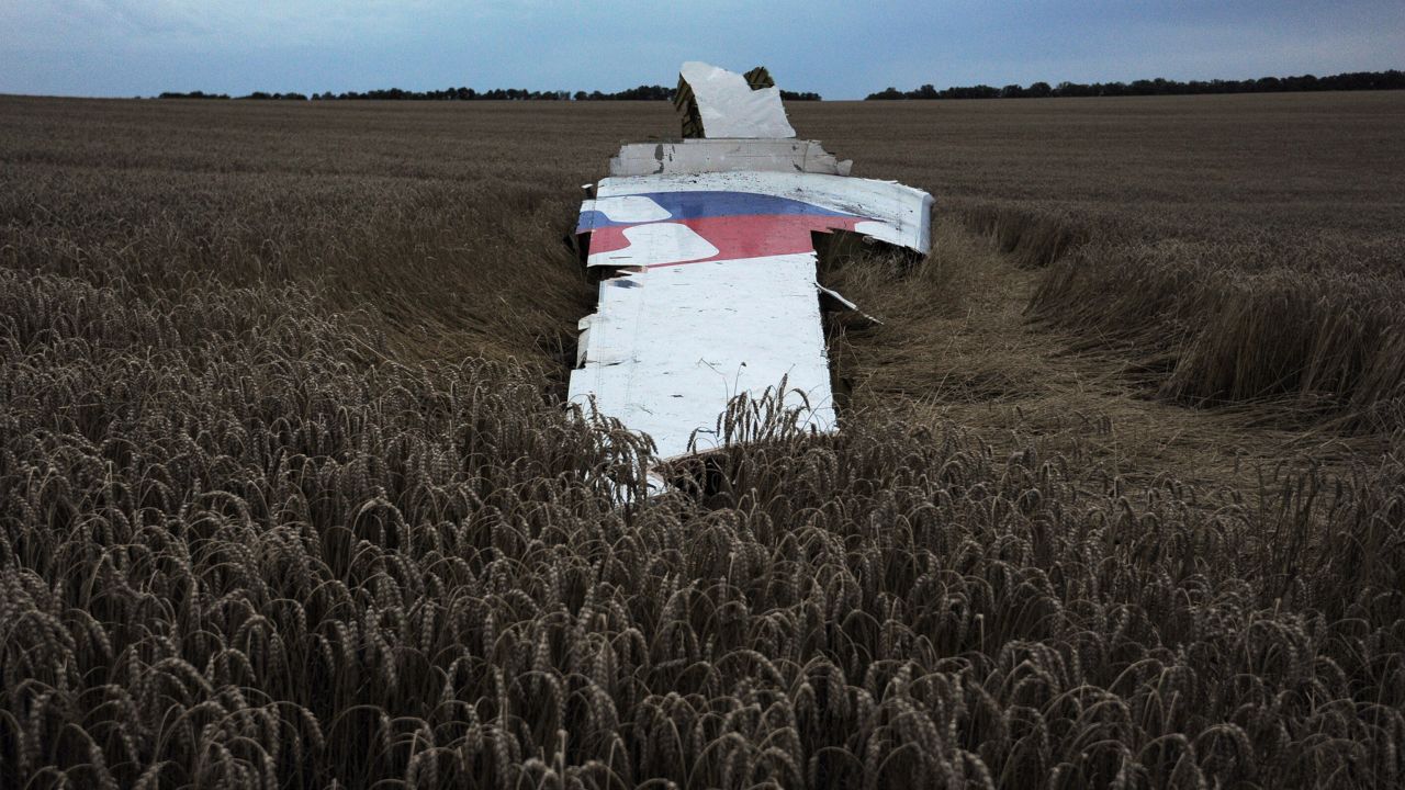 A large piece of the plane lies on the ground.