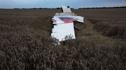 A large piece of the plane lays on the ground.