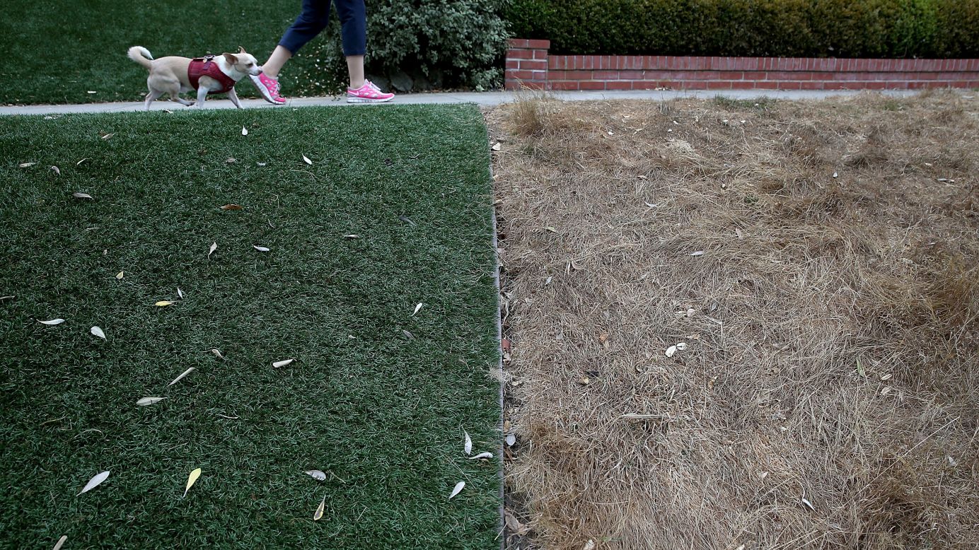 An artificial lawn contrasts a dead lawn in San Francisco on Tuesday, July 15. Grappling with<a href="http://www.cnn.com/2014/07/17/us/gallery/california-drought/index.html" target="_blank"> severe drought</a>, California officials on Tuesday approved statewide emergency water restrictions.