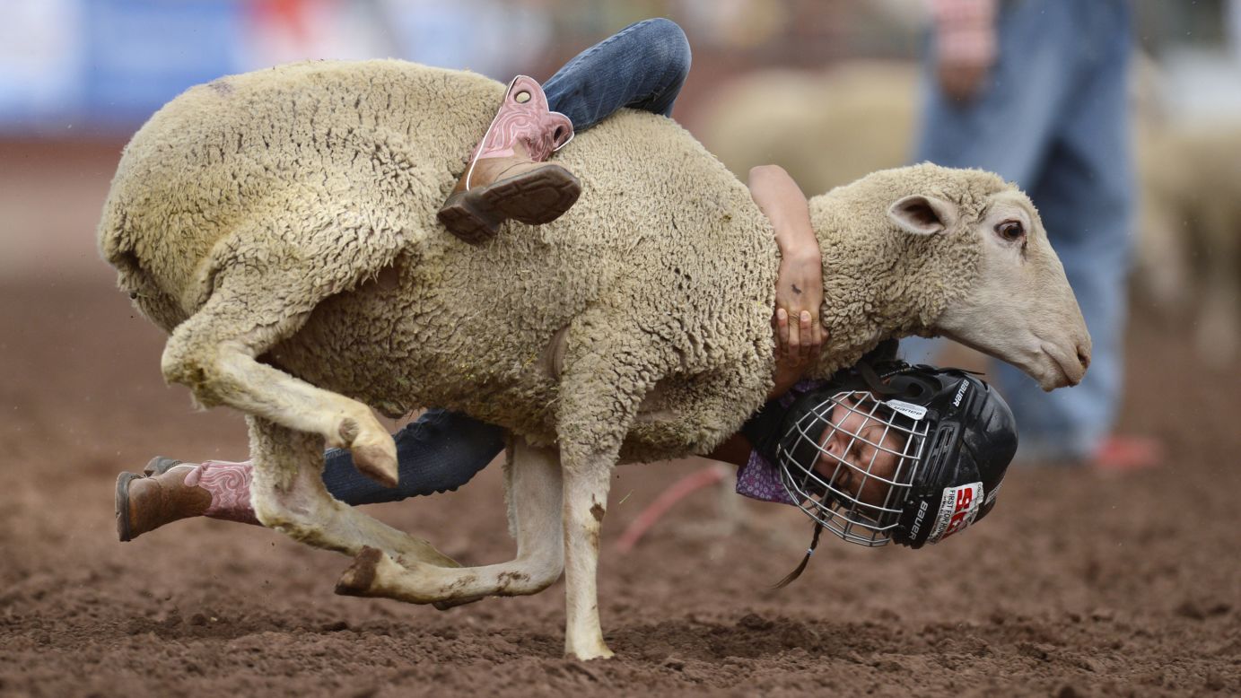 Delzie Gamez, 9, barely hangs onto a sheep during the Mutton Bustin' event at the Cinch Pikes Peak or Bust Rodeo on Saturday, July 12, in Colorado Springs.