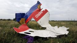 A piece of Flight 17 lies in a field on July 18.
