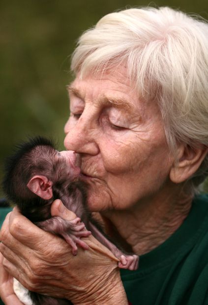 Meet Rita Miljo, a German woman who has dedicated her life to saving baboons, as introduced by director Adrian Cale. 