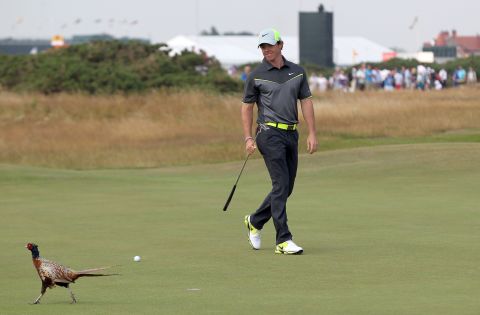 A relaxed McIlroy even found time to smile when a pheasant ran across his line on the eighth green.