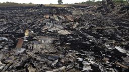 HRABOVE, UKRAINE:  "When the sun came up we saw this...and much worse." - CNN's Phil Black, July 19.  Photo shows the crash site of Malaysian Airlines Flight MH17, which was shot down over Ukraine.  Folllow Phil (@philblackcnn) and other CNNers along on Instagram at instagram.com/cnn.