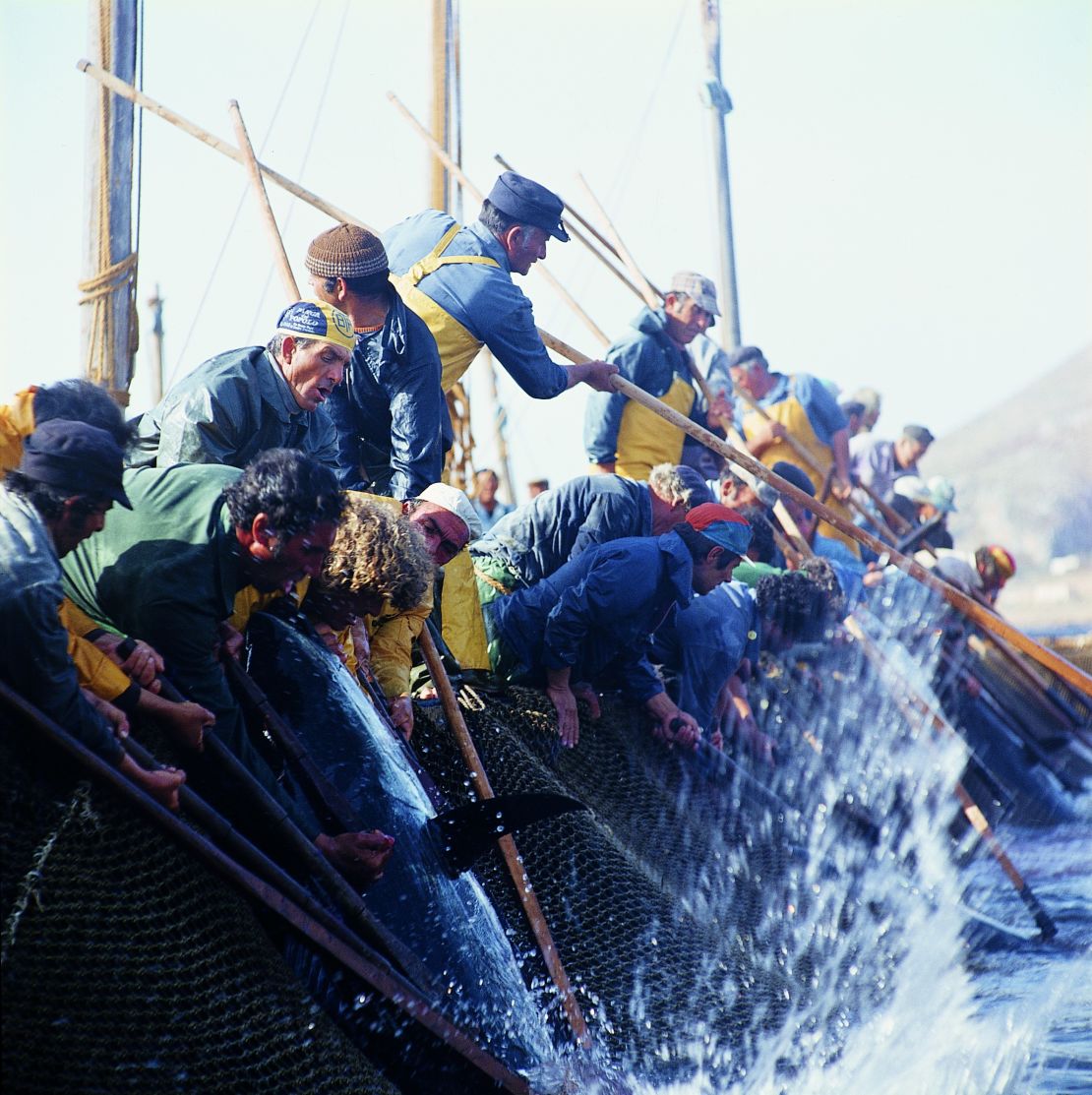 Tuna trapping in Favignana, Italy.