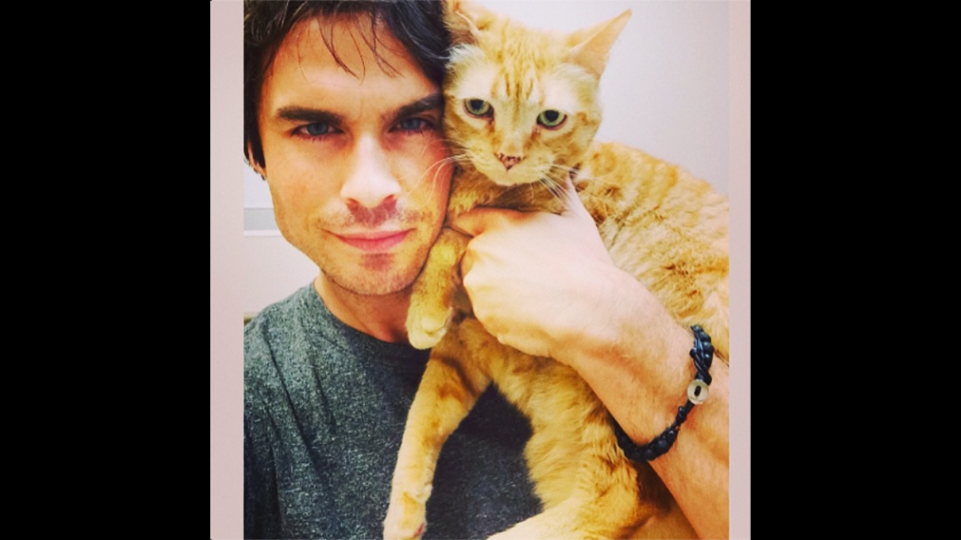 Actor Ian Somerhalder <a href="http://instagram.com/p/qjlDokqJ3r/" target="_blank" target="_blank">posted a selfie</a> with his cat on Thursday, July 17. "Morning vet visit with moke before heading to my 1st Day of work for SEASON 6 of The Vampire Diaries!" he wrote on Instagram.