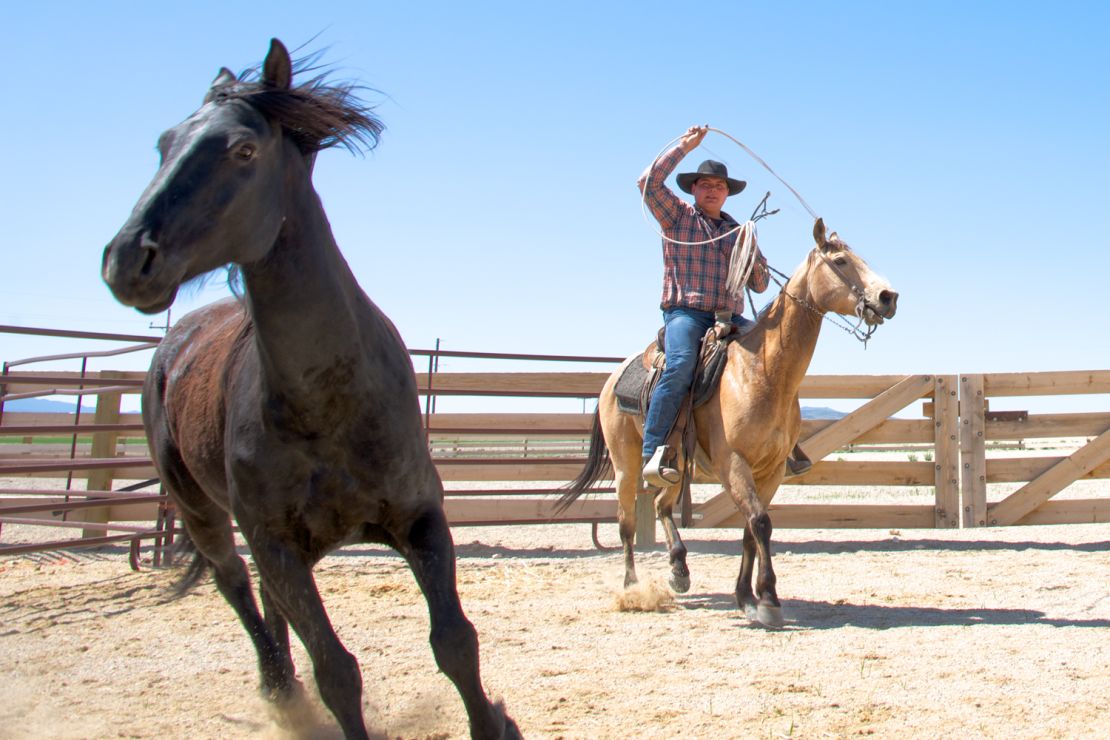 Cowboy experiences are available at the Mustang Monument ranch. 
