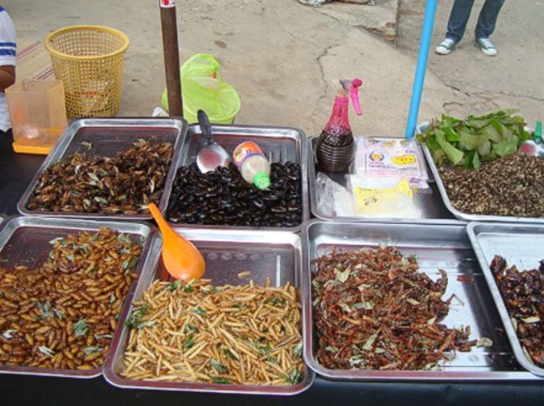 Aspire studied insect farming in Thailand - (Courtesy Aspire Food Group)
