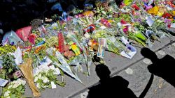 This photo shows the shadows of peopLe looking at flowers placed in remembrance for the victims of the MH17 plane crash at Schiphol Airport, near Amsterdam, on July 23, 2014. The remains of 40 victims from downed Malaysia Airlines flight MH17 headed on July 23 from eastern Ukraine to the Netherlands aboard two planes. Dutch royals were due to meet the planes alongside grieving relatives and representatives from the 11 countries that had citizens among the 298 on board MH17.