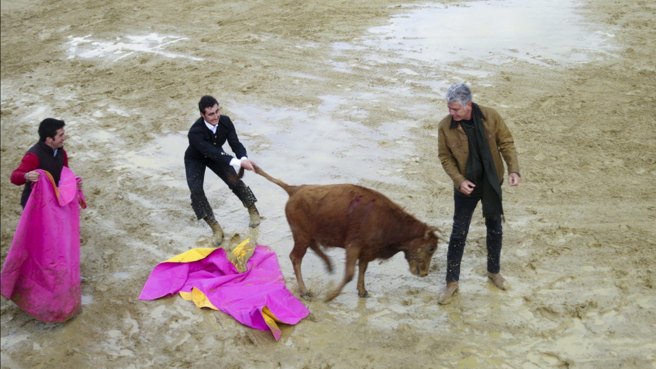During the second season of "Parts Unknown," Tony visited the ranch of David Fandila, the star matador known as El Fandi. One of El Fandi's signature moves is to drop to his knees in a dramatic fashion as he waves his cape to goad the bull.