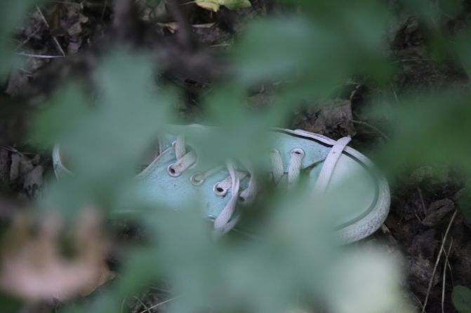 A shoe, appearing to be brand new, sits under foliage at the crash site. 