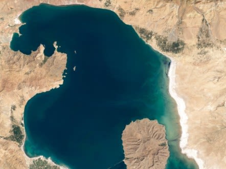 Artemia: a multi-million dollar source of income in Lake Urmia