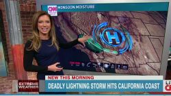 Dangerous southern california lightning Petersons Newday_00022316.jpg