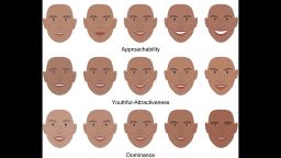Progression of facial features from least to most approachable, attractive and dominant.
