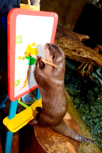 Last year, the Dubai Aquarium held an exhibit featuring otters demonstrating their artistic prowess with a paintbrush and canvas. 