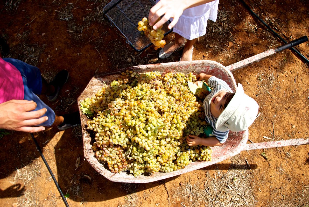 Frangiksos Karelas converted his family farm into an agrotourism venture.