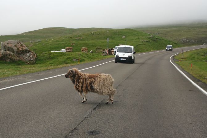 Sheep and goats are common intruders on the well maintained Faroese roads. 