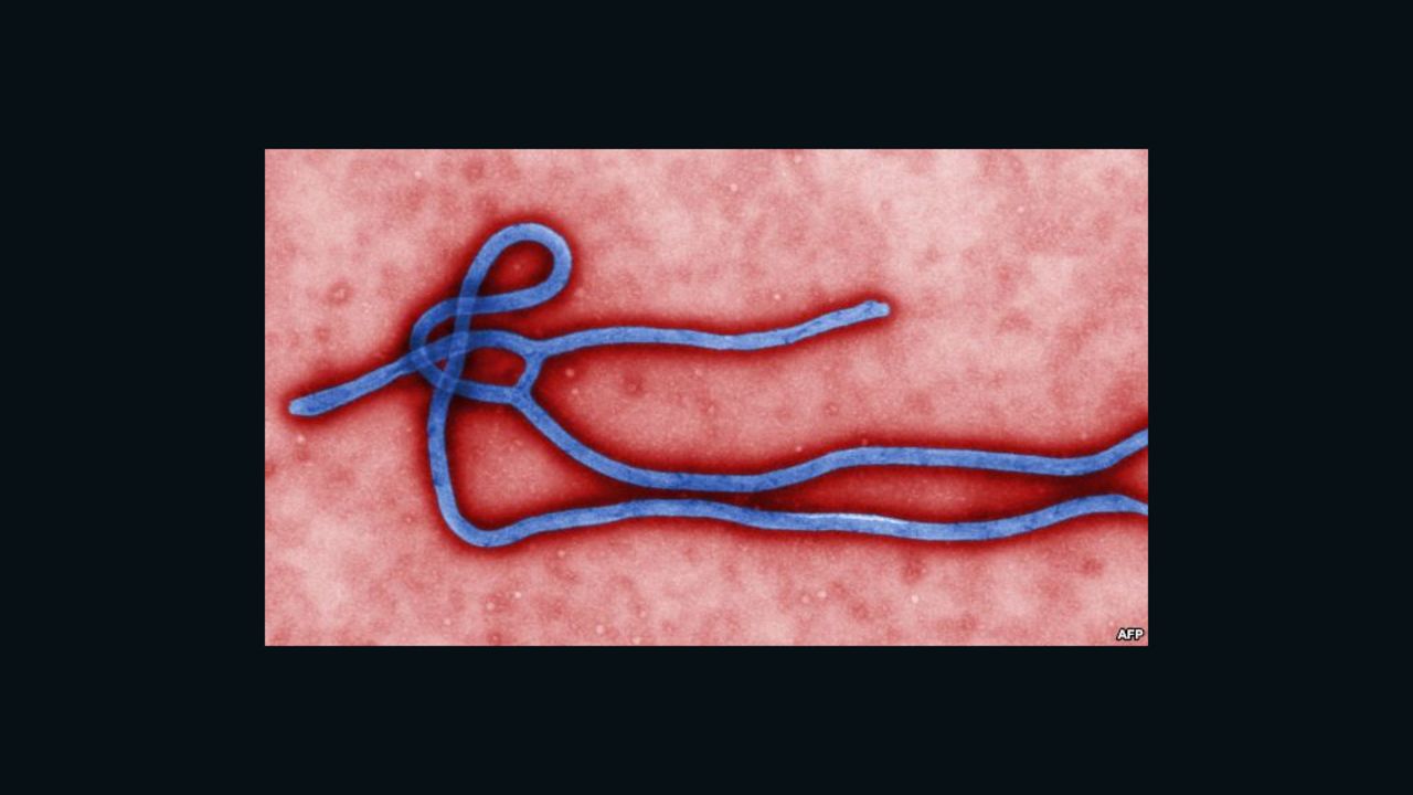 Ebola