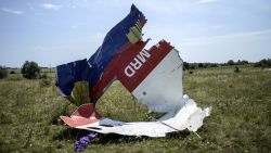 A picture shows a piece of debris of the fuselage at the crash site of the Malaysia Airlines Flight MH17 east of Donetsk on July 25, 2014.