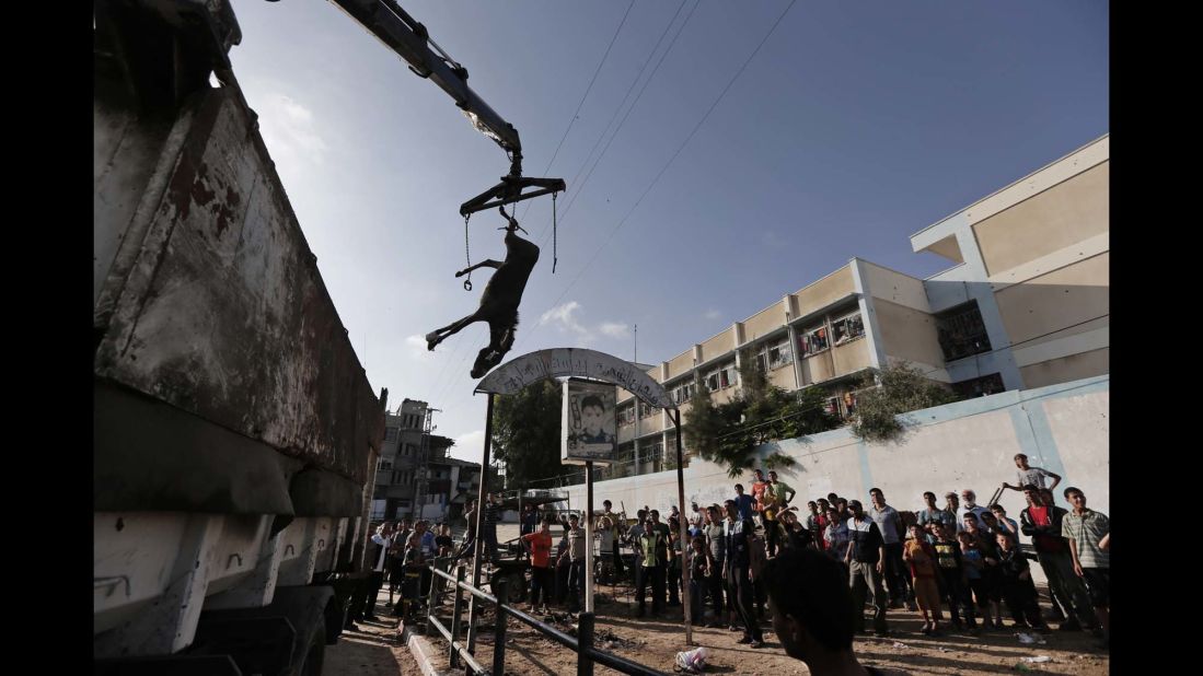 U.N. workers remove a donkey injured at a U.N.-run school in Gaza on Wednesday, July 30.