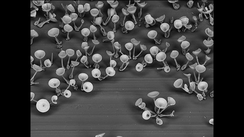 Microfabrication techniques that build objects at impossible small scale have seen tremendous gains over the last decade, but researchers are bumping up against limits at molecular and nanoscales. 
