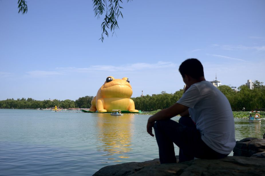 A man ponders the golden toad.