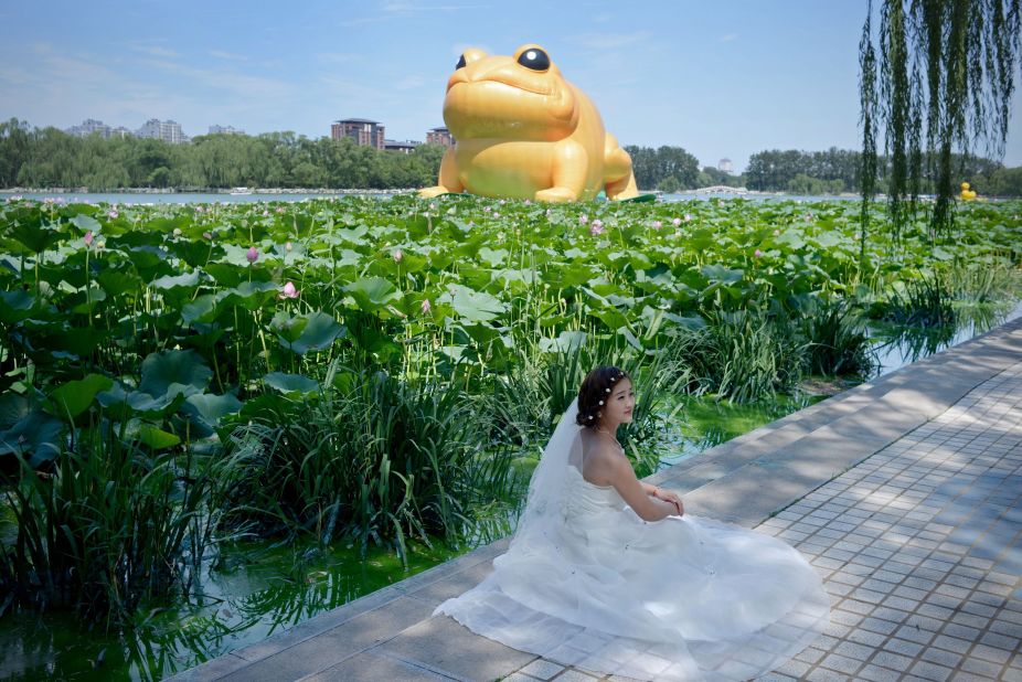 The toad has attracted tourists in part because of the online controversy it has created. Park visitors pose for photos in front of it.